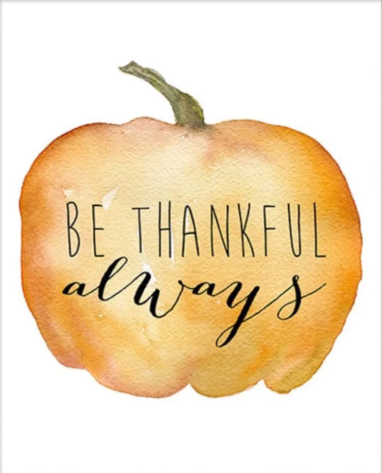 Happy Thanksgiving to all of our US candidates and clients!